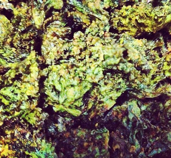 “Cheesy” Kale Chips