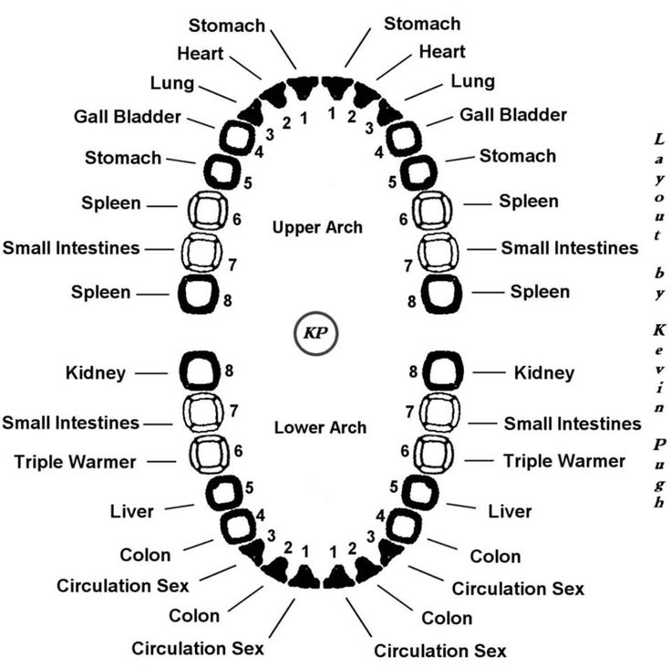 meridian-tooth-chart-1